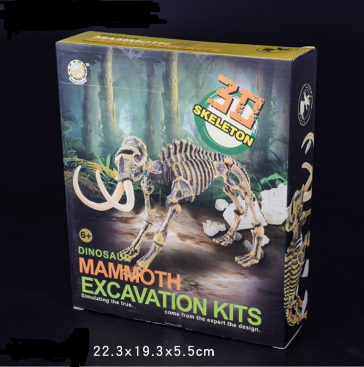 Dinosaur Educational Toys