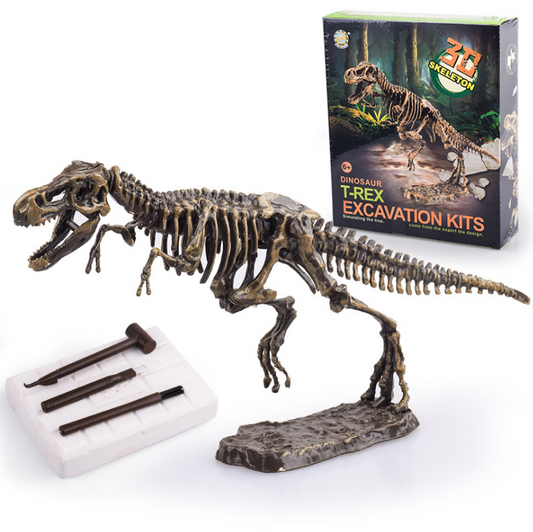 Dinosaur Educational Toys