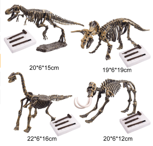 Dinosaur Educational Toys