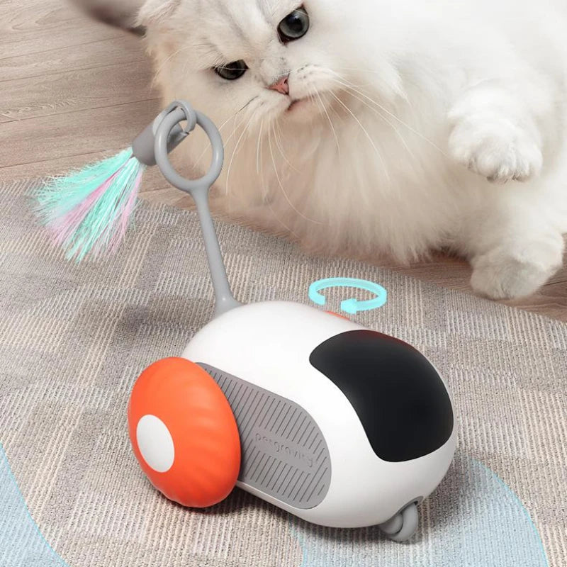 Cat Car Toy