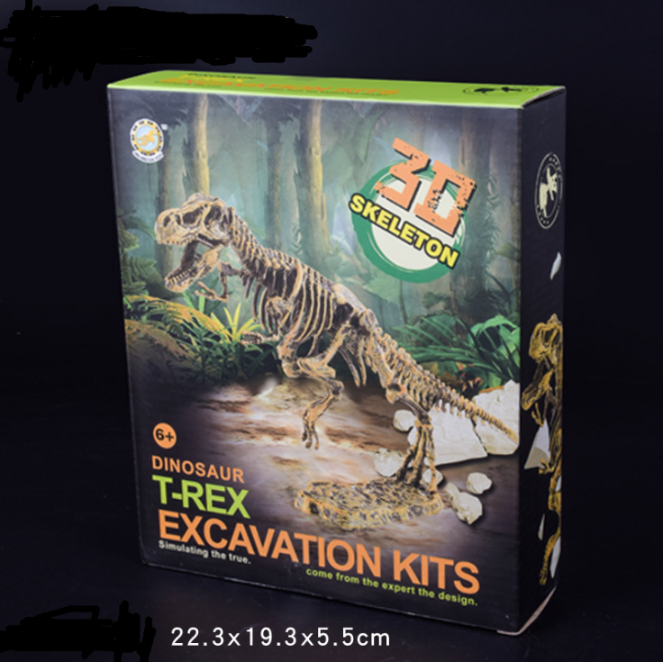 Dinosaur Educational Toys