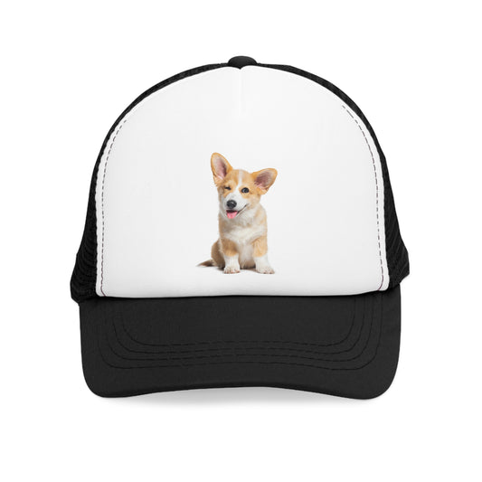 Dog Cap