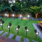 2pcs solar spotlight LED lighting