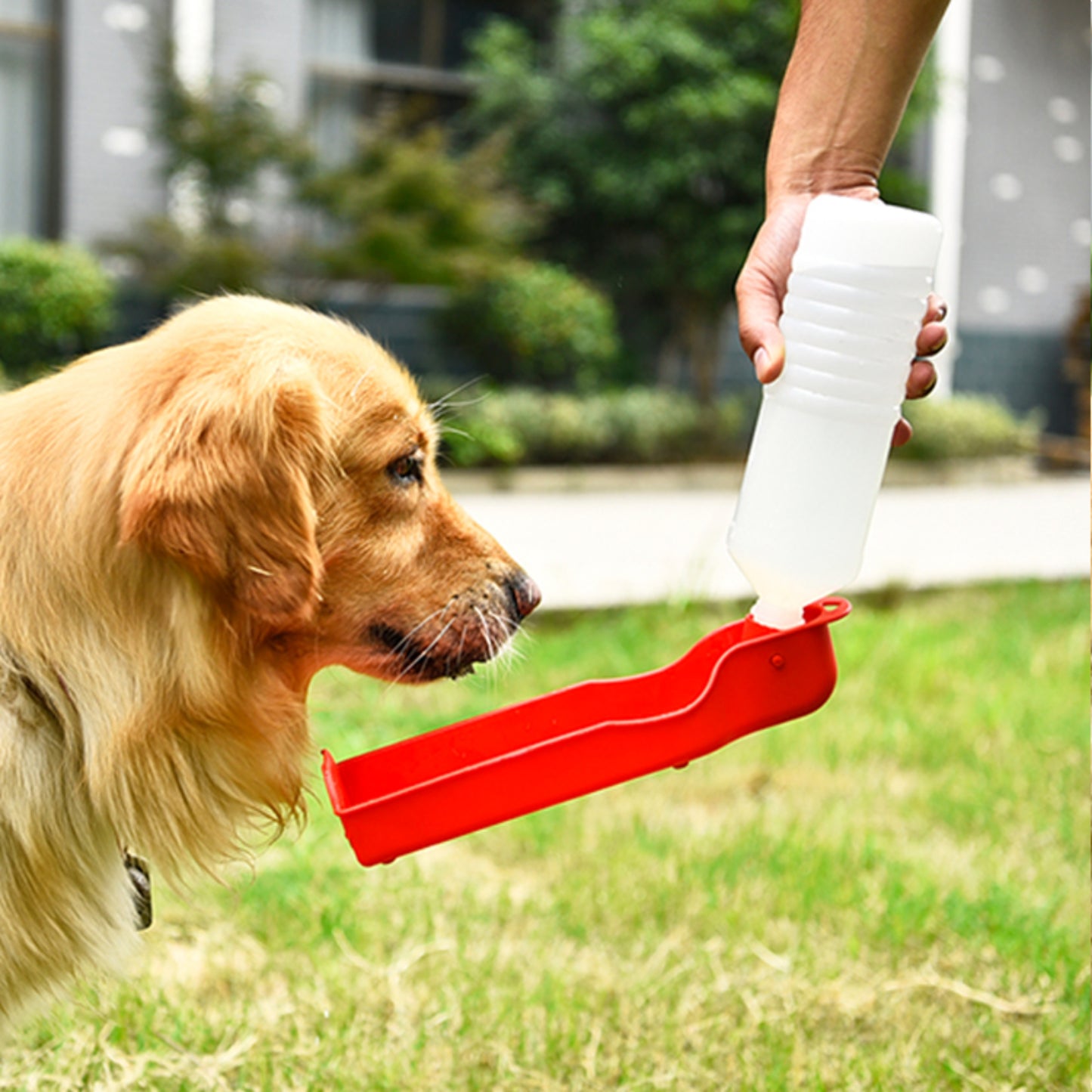 Portable Pet Travel Water Bowl