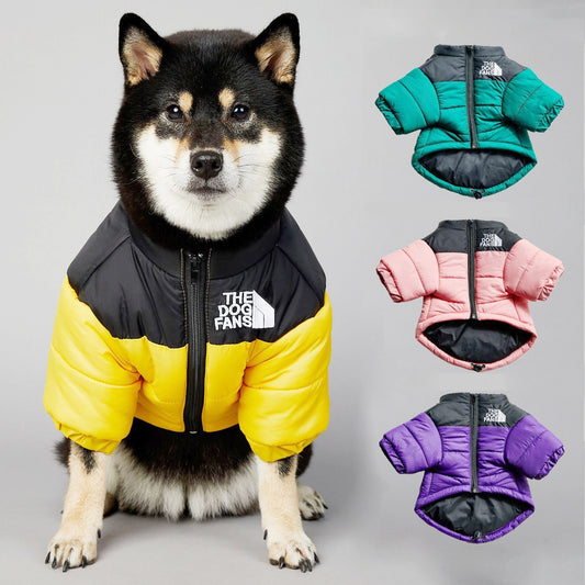 Dog´s Cool Jacket